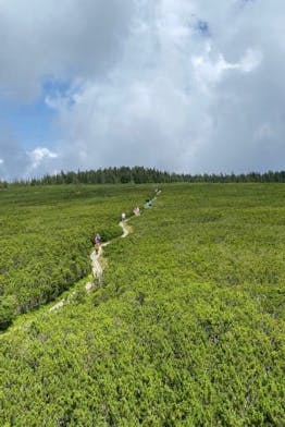 Lovrenc Lakes
